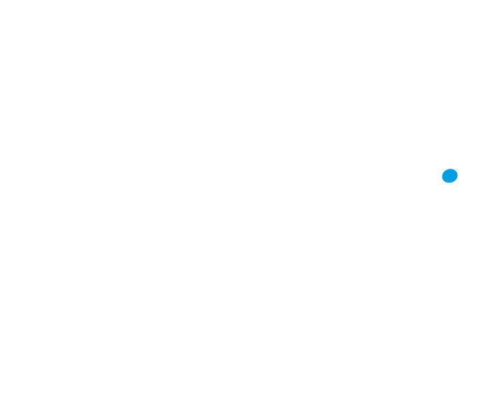 Logo McService